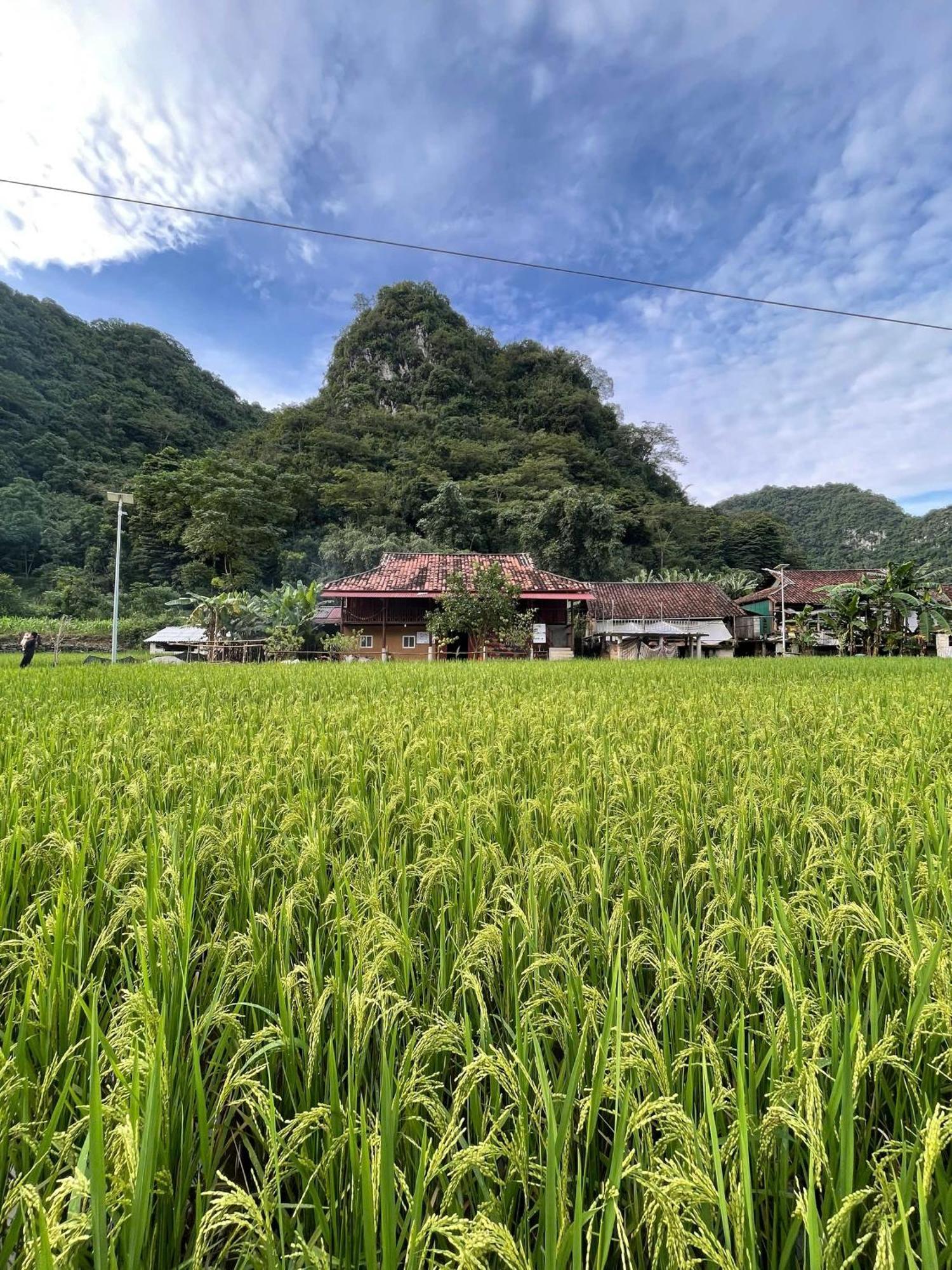 Nung An Homestay Quang Uyen Buitenkant foto